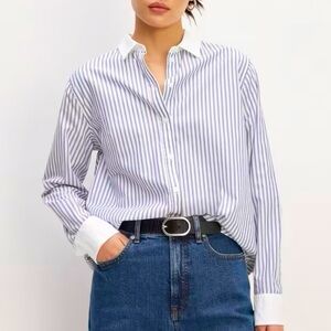 Everlane Silky Cotton Relaxed Shirt